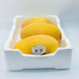 Cantaloupe - Cork Plate